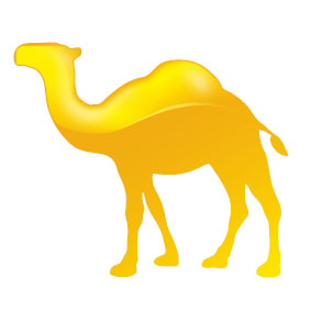 Camel